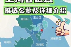 上海新增20处中风险区有哪些（上海新增2处中风险地区）