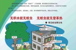 浙江2024年登革热，2017年登革热疫情
