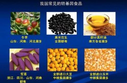 我为什么选择转基因食品，我国的转基因食品
