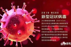 西安病毒感染最新消息，2025西安病毒最新消息