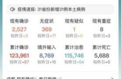 31省区市新增本土确诊9例（31省区市新增本土确诊病例30例）