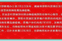 邵阳的疫情最新消息（2020国内流感疫情最新消息）