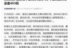黑龙江新增2例本土确诊，黑龙江新增本土确诊病例最新消息