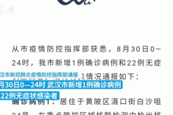 武汉已经有好几百例新病毒感染者，武汉有多少人感染新型冠状病毒