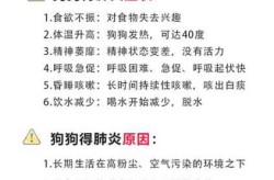 怎么判断肺炎彻底好了，肺炎怎样才算彻底治疗好了