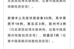 青岛确诊病例是哪里的，青岛现有确诊病例