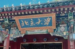 疫情北京大学生游街的原因有哪些（北京大学游览攻略）