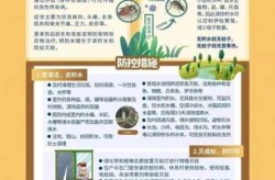 广州登革热疫情最新消息，云南登革热最新疫情