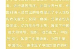 中国速度疫情作文素材，关于疫情中国力量的作文素材