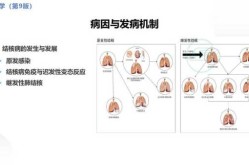 密接者一般多少天会出现症状（肺结核密切接触者多久会发病）
