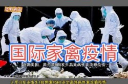 禽流感最近的是哪一年，禽流感最严重的一年