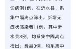临沂疫情封路情况最新消息，临沂疫情最新情况