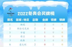 冬奥会金牌榜2022，冬奥会奖牌榜中国金牌
