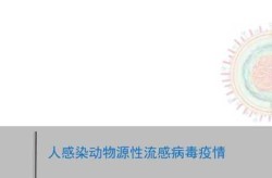 2024年8月疫情会爆发吗（明年2024年还会有疫情吗）