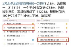 河北多地疫情管理被指一刀切（河北疫情防控一刀切）