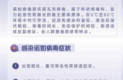 2024诺如病毒大爆发，2025诺如病毒爆发地区