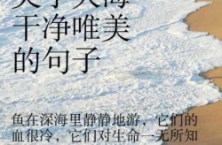 疫情过后的句子唯美短句大海，描写疫情过后的唯美句子