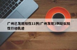 广州全市大排查已发现阳性11例（广州发现一例）