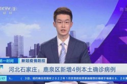 石家庄鹿泉疫情最新消息（石家庄的疫情情况 最新消息）