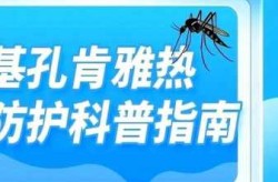 广西疫情最新情况，广西有基孔肯雅热病例吗
