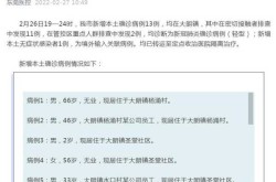 广东东莞新增6例本土确诊，东莞新增确诊病例