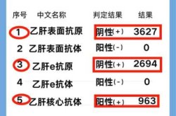 二阳转阴3一4天可能吗，乙肝大二阳能转阴吗