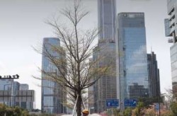 广东深圳疫情最新消息今天封城了（深圳疫情情况最新今天）