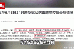31省份新增本土病例6（31省市新增本土病例最新消息）