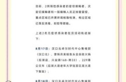 武汉全面推行疫情防控场所码（武汉市疫情防控指挥部咨询电话）