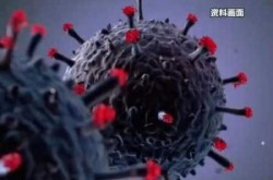 新冠最新变种11月初已出现（全球第1个得新冠的是谁）