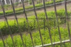 距2023高考还有2天，距高考2023高考倒计时