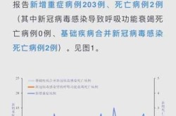 疫情高峰期是哪些地方，疫情高峰期是什么时候