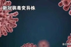 现在是什么病毒的高发期，近期出现的病毒叫什么