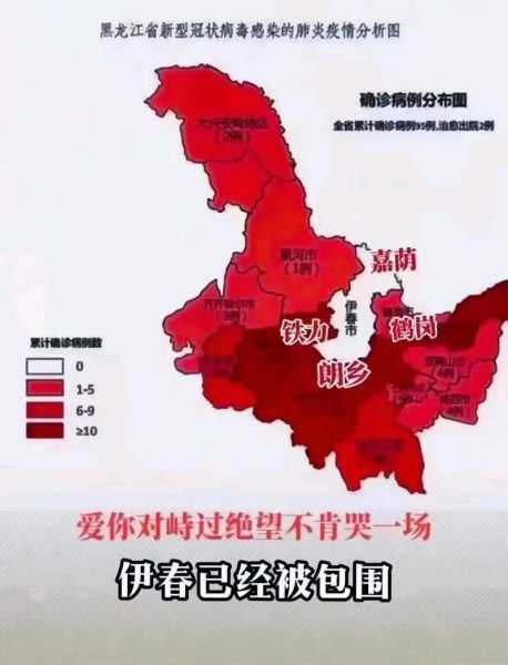 黑龙江省新增9例本土确诊病例（黑龙江确诊病例最新情况）