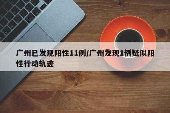 广州全市大排查已发现阳性11例（广州发现一例）