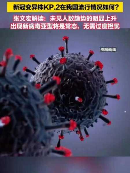 新冠最新变种11月初已出现（全球第1个得新冠的是谁）