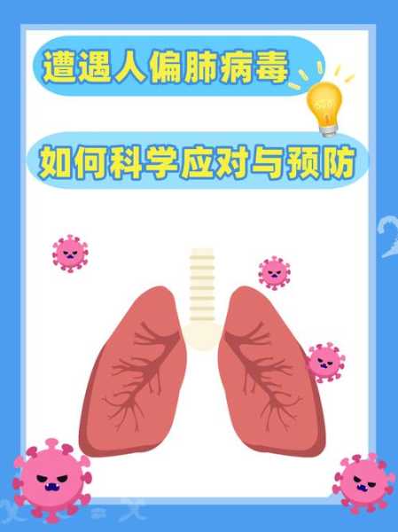 人偏肺病毒阳性一般寿命,人偏肺病毒阳性严重吗
