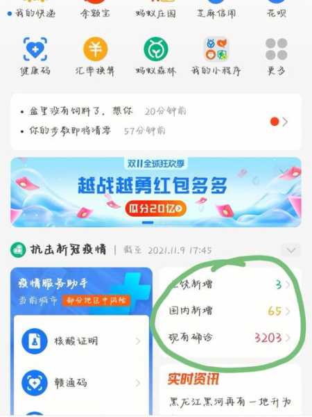 湖北疫情政策出行查询,疫情出行政策查询