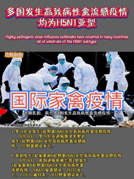 禽流感最近的是哪一年，禽流感最严重的一年