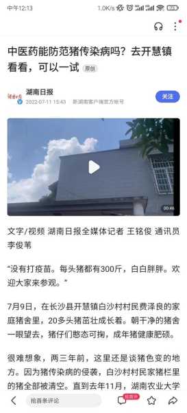 国家猪瘟疫情举报电话,举报猪瘟打什么电话