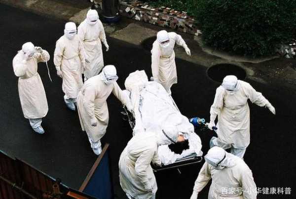 2008年爆发的非典,2008年爆发的传染病叫什么