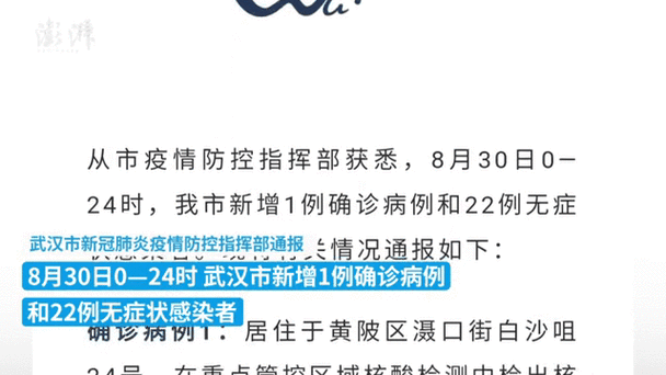 武汉已经有好几百例新病毒感染者，武汉有多少人感染新型冠状病毒